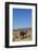 The Road to Merzouga, Morocco, North Africa, Africa-Doug Pearson-Framed Photographic Print