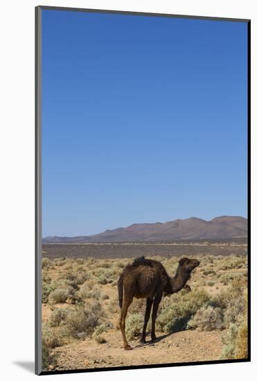 The Road to Merzouga, Morocco, North Africa, Africa-Doug Pearson-Mounted Photographic Print