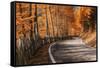 The Road to the Odle, Val Di Funes-ClickAlps-Framed Stretched Canvas