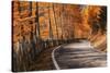 The Road to the Odle, Val Di Funes-ClickAlps-Stretched Canvas