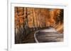 The Road to the Odle, Val Di Funes-ClickAlps-Framed Photographic Print