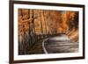 The Road to the Odle, Val Di Funes-ClickAlps-Framed Photographic Print
