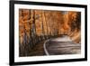 The Road to the Odle, Val Di Funes-ClickAlps-Framed Photographic Print