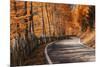 The Road to the Odle, Val Di Funes-ClickAlps-Mounted Photographic Print