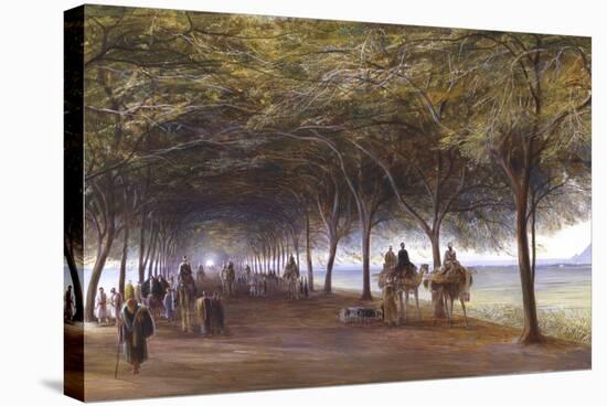 The Road to the Pyramids at Giza, C1873-Edward Lear-Stretched Canvas