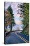 The Road to Vista House, Columbia River Gorge, Oregon-Vincent James-Stretched Canvas