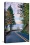 The Road to Vista House, Columbia River Gorge, Oregon-Vincent James-Stretched Canvas