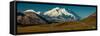 The road up to Polychome Pass, Denali National Park, Alaska-null-Framed Stretched Canvas