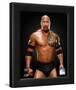 The Rock 2011 Posed-null-Framed Photographic Print