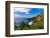 The rock coast of Pitcairn island, British Overseas Territory-Michael Runkel-Framed Photographic Print