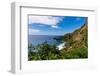 The rock coast of Pitcairn island, British Overseas Territory-Michael Runkel-Framed Photographic Print