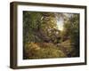 The Rock Garden-Jessica Jenney-Framed Giclee Print