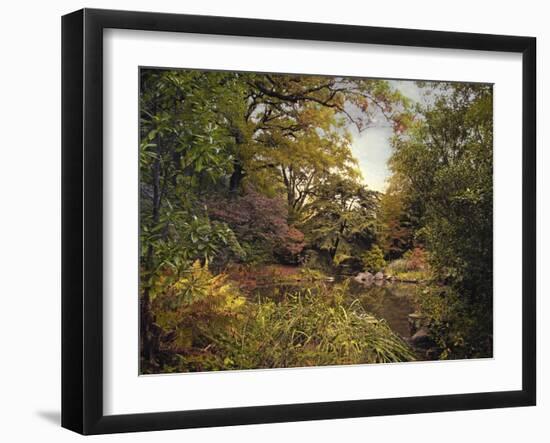 The Rock Garden-Jessica Jenney-Framed Giclee Print