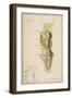 The Rock of Gibraltar-W Hughes-Framed Giclee Print