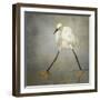 The Rock Star-Alfred Forns-Framed Premium Photographic Print