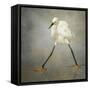 The Rock Star-Alfred Forns-Framed Stretched Canvas
