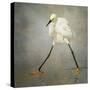 The Rock Star-Alfred Forns-Stretched Canvas