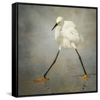 The Rock Star-Alfred Forns-Framed Stretched Canvas