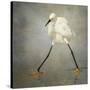 The Rock Star-Alfred Forns-Stretched Canvas