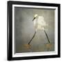 The Rock Star-Alfred Forns-Framed Premium Photographic Print