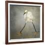 The Rock Star-Alfred Forns-Framed Photographic Print