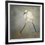 The Rock Star-Alfred Forns-Framed Photographic Print