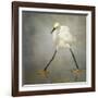 The Rock Star-Alfred Forns-Framed Photographic Print