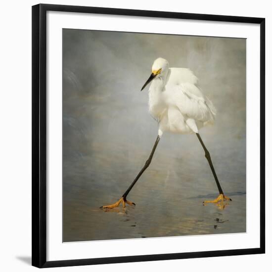 The Rock Star-Alfred Forns-Framed Photographic Print