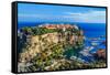 The Rock The City Of Principaute Of Monaco And Monte Carlo In The South Of France-OSTILL-Framed Stretched Canvas