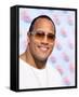 The Rock-null-Framed Stretched Canvas