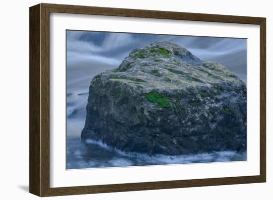 The Rock-Anthony Paladino-Framed Giclee Print