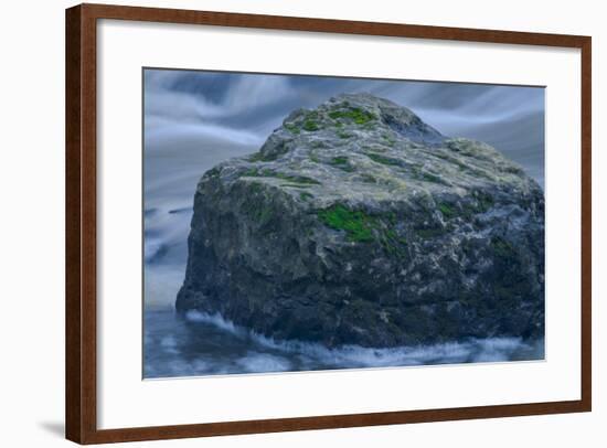 The Rock-Anthony Paladino-Framed Giclee Print