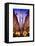 The Rockefeller Center with Christmas Decoration at Nightfall-Philippe Hugonnard-Framed Stretched Canvas