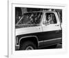 The Rockford Files-null-Framed Photo