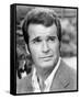 The Rockford Files-null-Framed Stretched Canvas