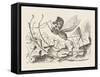 The Rocking-Horse Fly-John Tenniel-Framed Stretched Canvas