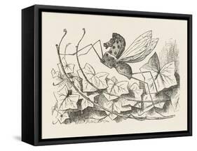 The Rocking-Horse Fly-John Tenniel-Framed Stretched Canvas