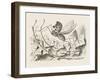 The Rocking-Horse Fly-John Tenniel-Framed Art Print