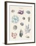 The Rockpool-The Vintage Collection-Framed Giclee Print