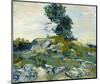 The Rocks, 1888-Vincent van Gogh-Mounted Art Print