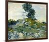 The Rocks, 1888-Vincent van Gogh-Framed Giclee Print