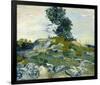 The Rocks, 1888-Vincent van Gogh-Framed Giclee Print