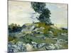 The Rocks, 1888-Vincent van Gogh-Mounted Giclee Print