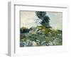 The Rocks, 1888-Vincent van Gogh-Framed Giclee Print