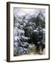 The Rocks, C1842-1885-Rodolphe Bresdin-Framed Giclee Print