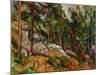 The Rocks in the Park of the Chateau Noir, 1898-1899-Paul Cézanne-Mounted Giclee Print