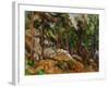 The Rocks in the Park of the Chateau Noir, 1898-1899-Paul Cézanne-Framed Giclee Print