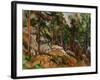 The Rocks in the Park of the Chateau Noir, 1898-1899-Paul Cézanne-Framed Giclee Print