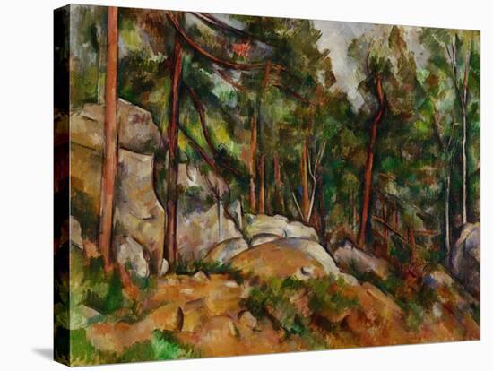 The Rocks in the Park of the Chateau Noir, 1898-1899-Paul Cézanne-Stretched Canvas