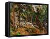 The Rocks in the Park of the Chateau Noir, 1898-1899-Paul Cézanne-Framed Stretched Canvas